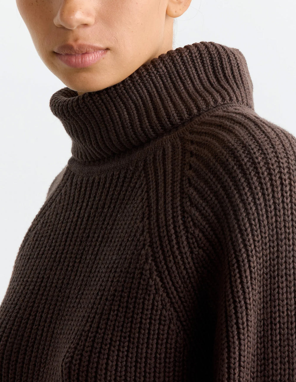 Alex Mill Chelsea turtleneck in chocolate. Size large.