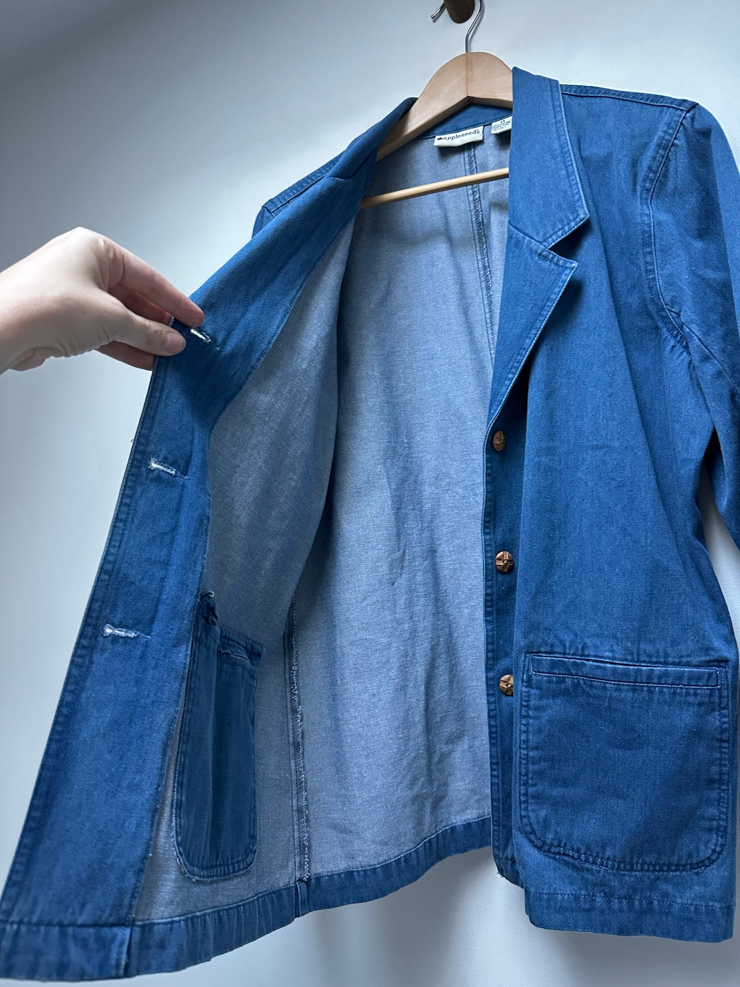 Vintage Appleseed’s denim blazer